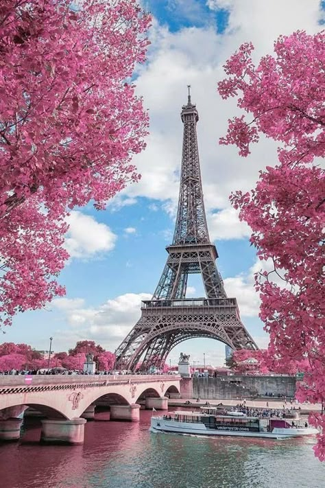 Wallpaper Edgy, Tower Photography, Torre Eiffel Paris, Paris In Spring, Eiffel Tower Photography, Springtime In Paris, Paris Wallpaper, Wallpaper Retro, Wallpaper Homescreen