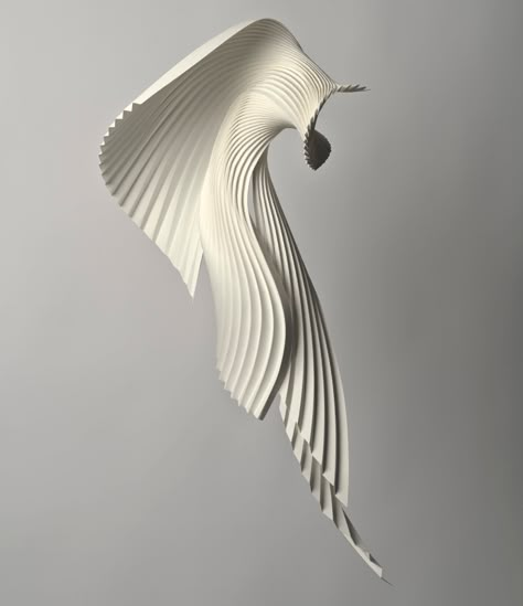 Movement and Flow Infuse Pleated Paper Sculptures and Modular Designs by Richard Sweeney | Colossal Richard Sweeney, Organic Structure, Paper Sculptures, Colossal Art, Paper Birds, Modern Crafts, White Bird, Paper Folding, Animal Skulls