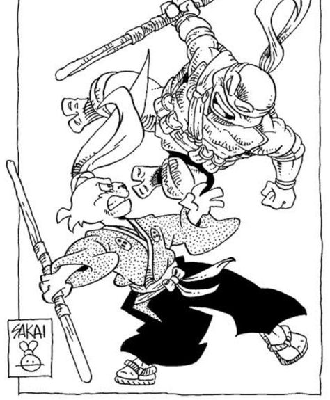 Usagi Yojimbo Fan Art, Leonardo X Usagi, Usagi Miyamoto, Miyamoto Usagi, Usagi Chronicles, Cartoon Superhero, Tmnt Characters, Usagi Yojimbo, The Turtles