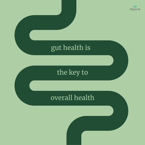 Say it with us: the foundation of overall wellness is...🥁🥁🥁 gut health!🌱✨ Why? Because it can shape your immunity, impact your mood & sleep, and affect nutrient absorption among other things! At nbpure, we're here to help you be the champions of your gut health💪🏽💚 Health Wellness Quotes Motivation, Gut Health Illustration, Gut Health Aesthetic Pictures, Healing Gut Health Aesthetic, Health And Wellness Instagram Feed, Gut Health Quotes, Gut Health Aesthetic, Health Social Media, Nutrition Instagram