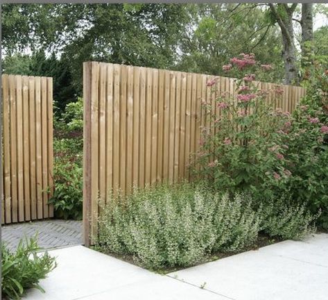 Funny Vine, Narrow Path, Wooden Gates, Have Inspiration, Yard Design, Wooden Fence, Plants And Flowers, Courtyard Garden, Fence Design