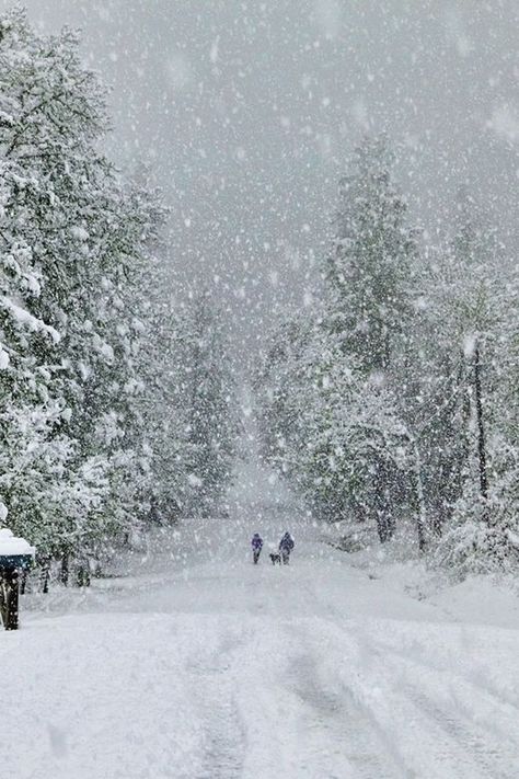 Winter Schnee, Winter Szenen, Winter's Tale, Winter Love, Winter Magic, Winter Scenery, Winter Storm, Winter Beauty, Snowy Day