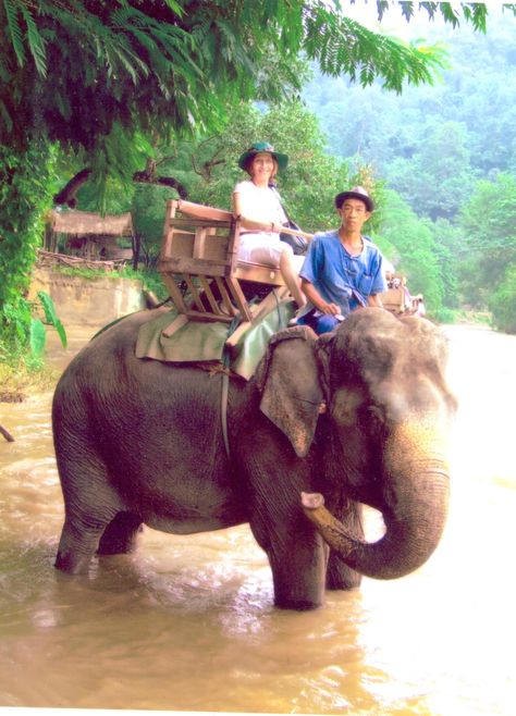 Elephant ride in Thailand Floating Market Bangkok, Chiang Mai Elephant, Buddha Elephant, Elephant Camp, Elephant Ride, Luang Prabang, Big Animals, Big Buddha, River Rafting