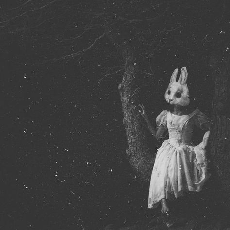 Aesthetic Creepy, Creepy Photography, Creepy Vintage, Dark Images, Dark Photography, Creepy Cute, Aesthetic Grunge, Horror Art, Vintage Aesthetic