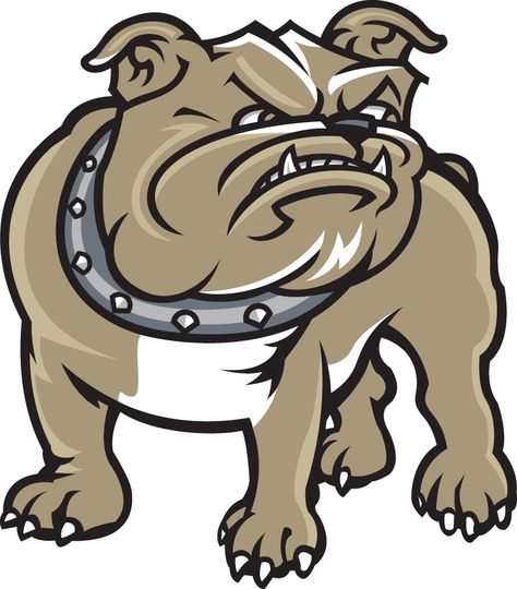 Bryant Bulldogs Bryant University, Secondary Logo, Logo Shapes, Dope Cartoon Art, Virtual Museum, College Logo, Sports Logos, Grad Gifts, Girls Tees