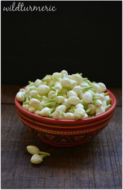 5 Top Benefits & Uses Of Jasmine Flower | Mogra | Sampaguita For Hair, Skin & Health | wildturmeric Jasmine Flower Tea, Arabian Jasmine, Quotes Flower, Flower Jasmine, Indoor Flowering Plants, Jasmine Plant, Jasmine Flower, Flowers Petals, Most Beautiful Flowers