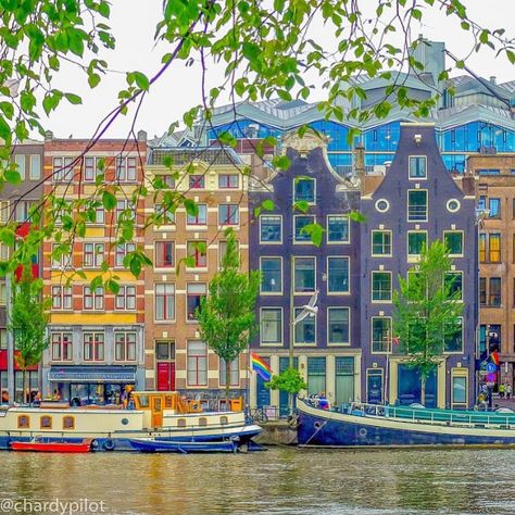 Canal Houses, Amsterdam, Netherlands 🇳🇱 This vibrant scene captures the quintessential charm of Amsterdam's historic canal houses, with their tall, narrow facades and gabled roofs. The colorful buildings line the canal, where houseboats are moored, adding to the city's picturesque appeal. Lush greenery frames the view, enhancing the serene atmosphere of this iconic Dutch cityscape. Colorful Buildings, Canal House, Narrow House, Colourful Buildings, Amsterdam Netherlands, Lush Greenery, Facades, House Boat, The View