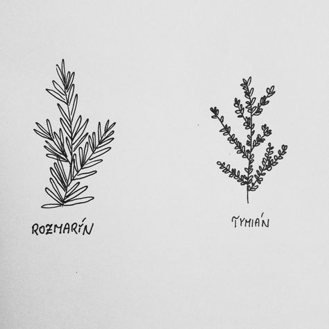 Rosemary And Thyme Tattoo, Rosemary Tattoo Minimalist, Herbs Tattoo, Rosemary Tattoo, Herb Tattoo, Tatts Ideas, Thyme Plant, Plant Drawing, S Tattoo