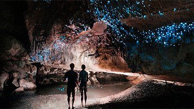 Animals for Kids | Kids Answers Glowworm Caves New Zealand, Waitomo Caves, Glow Worm Cave, Glow Worm, Cave Tours, Weird Creatures, Magical Places, Belleza Natural, Natural Wonders