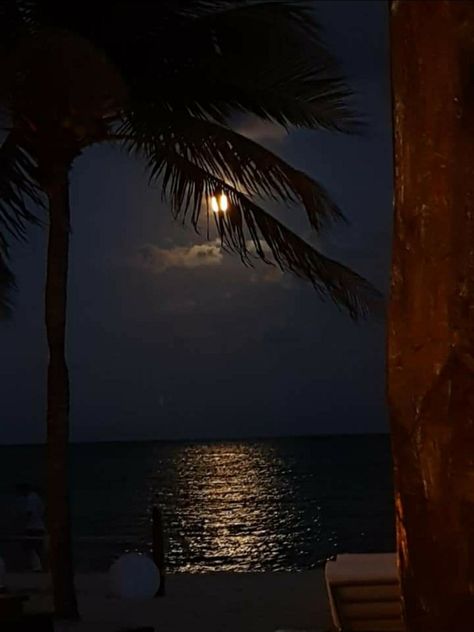 Mexico Night Aesthetic, Night In Mexico Aesthetic, Cancun Resort Aesthetic, Cancun Aesthetic, Cancun Mexico Aesthetic Night, Cancun Sunset, Moon Palace Nizuc Cancun, Cancun Beaches, Cancun Trip