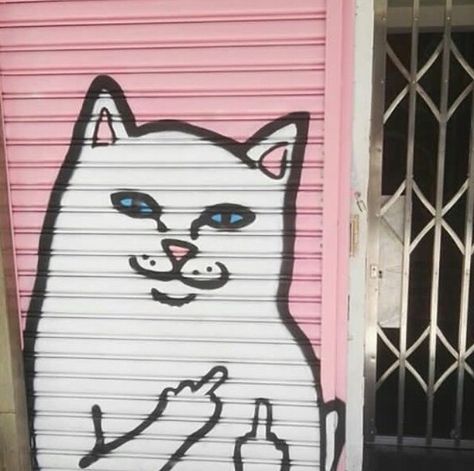 Chaotic Aesthetic, Pastel Goth, Gold Flowers, Cat Photo, Pink Aesthetic, Mood Board, We Heart It, Street Art, Graffiti