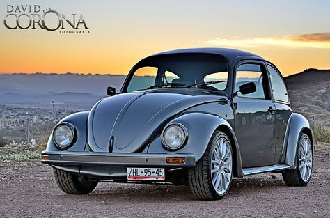 Volkswagen 1600, Volkswagen Aircooled, Vw Sedan, Volkswagen Bug, Beetle Convertible, Vw Beetle Classic, Seat Toledo, Vw Vintage, Vw Bugs