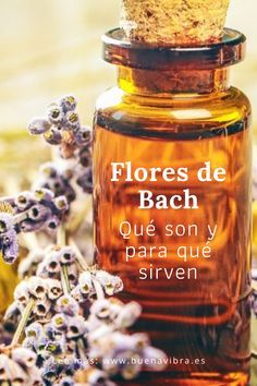 Bach Flowers, Bach Flower Remedies, Flower Remedy, Healing Herbs, Functional Medicine, Homeopathy, Scrapbook Albums, Reiki, Candle Jars