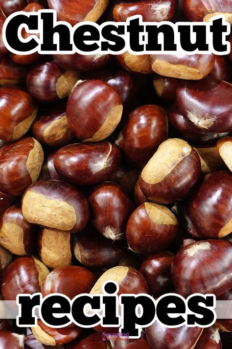 These recipes turn simple chestnuts into yummy meals and treats. In your kitchen, discover how to make tasty dishes with chestnuts. From savory dishes to sweet desserts, you'll learn easy ways to enjoy the deliciousness of chestnuts. But first, learn how to cook chestnuts and peel them! https://www.savoringthegood.com/chestnuts-recipes/ How To Cook Chestnuts In The Oven, Chestnut Uses, Chestnut Recipes Savory, Chestnut Dishes, Water Chestnuts Recipes, Chestnut Stuffing Recipes, Chestnuts Recipes, Chestnut Recipes Desserts, Homemade Fig Jam