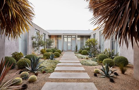 Tasked with designing a garden for a beach home ideal for the coastal conditions and salty sea breeze, Phillip Withers have created an experience through landscape, connecting the house to its native surroundings.  Designed as five differing yet connected sections; the front and side of the house, a courtyard garden, the rear of the house and a nature strip, each section being defined by a mix of native and exotic plant life such as the local Dromana toppings. Beach Landscape Design, Contemporary Coastal, Coastal Gardens, Desert Garden, Outdoor Entertaining Area, Beach Landscape, Entry Way, Contemporary Landscape, Exotic Plants