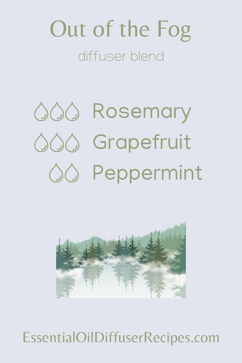 This Out of the Fog essential oil diffuser blend contains rosemary, grapefruit, and peppermint essential oils. Essential Oil Spray Recipes, Essential Oils Collection, Essential Oil Diffuser Blends Recipes, Essential Oils Guide, Essential Oil Diffuser Recipes, Oil Diffuser Recipes, Yl Essential Oils, Essential Oil Blends Recipes, Essential Oil Mixes