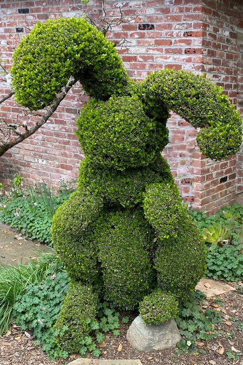 Topiary Art Easter Topiary Tree, Animal Topiary, Live Topiary, Easter Topiary, Topiary Garden, Live Tree, Topiary Trees, Trees And Shrubs, Easter Spring