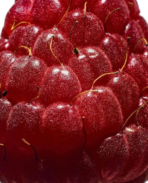 Natural Minimalism, Ingredients Photography, Vegetables Photography, Eva Nyc, Fragrance Photography, Food Art Photography, Raspberry Fruit, Fragrance Ingredients, Fruit Photography