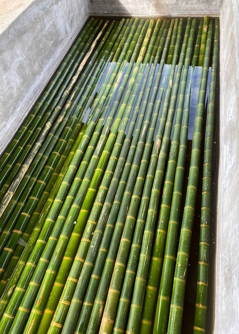 Bamboo Factory Colombia Bamboo Restaurant, Bamboo Projects, Bamboo Ideas, Weaving Diy, Basket Weaving Diy, Bamboo Structure, Bamboo Architecture, Bamboo Decor, Bamboo Construction