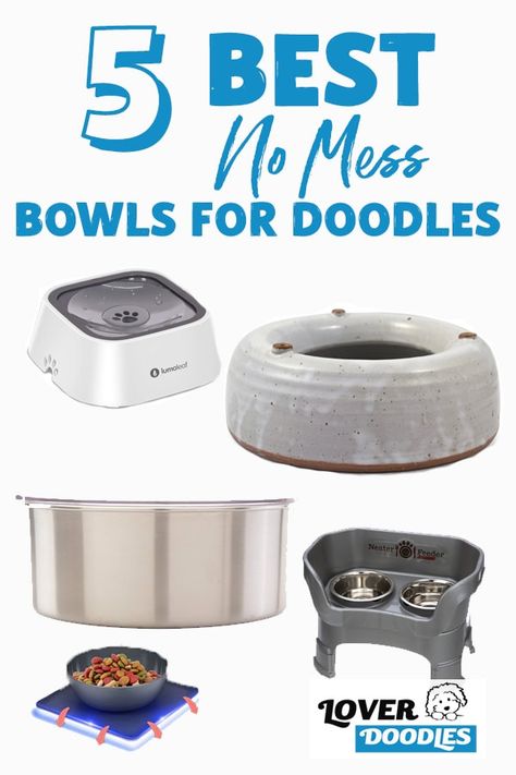 Some will play in their water dish, dive nose first, and some will leave the water bowl wholly covered in water and drool. While we can’t control some aspects of their drinking habits, we can try to help them with the Best Mess Free Dog Water Bowls for Doodle Dogs. #DogBowls #NoMessDogBowls #DogFood #WaterBowl No Spill Dog Water Bowl, Messy Dog Water Bowl Ideas, Dog Water Bowl Mess, Dog Water Bowl Ideas, Dog Water Bowl, Doodle Dogs, Pet Water Bowl, Colorful Hairstyles, Raised Dog Bowls