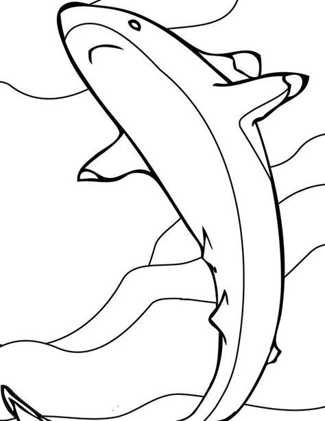 A Drawing Of Blacktip Reef Shark Coloring Page` : Kids Play Color Reef Shark Drawing, Calm Coloring Pages, Blacktip Reef Shark, Diving With Sharks, Batman Coloring Pages, Star Wars Colors, Shark Drawing, Shark Coloring Pages, Reef Shark