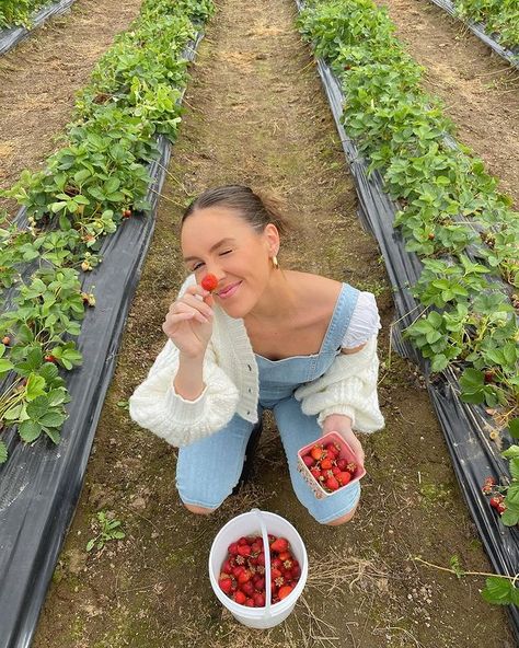 Strawberry Picking Pictures, Strawberry Picking Outfit, Soft Girl Aesthetic Outfit, Miley Stewart, Farm Day, Cherry Picking, Strawberry Picking, Emma Rose, Inspiring Photos