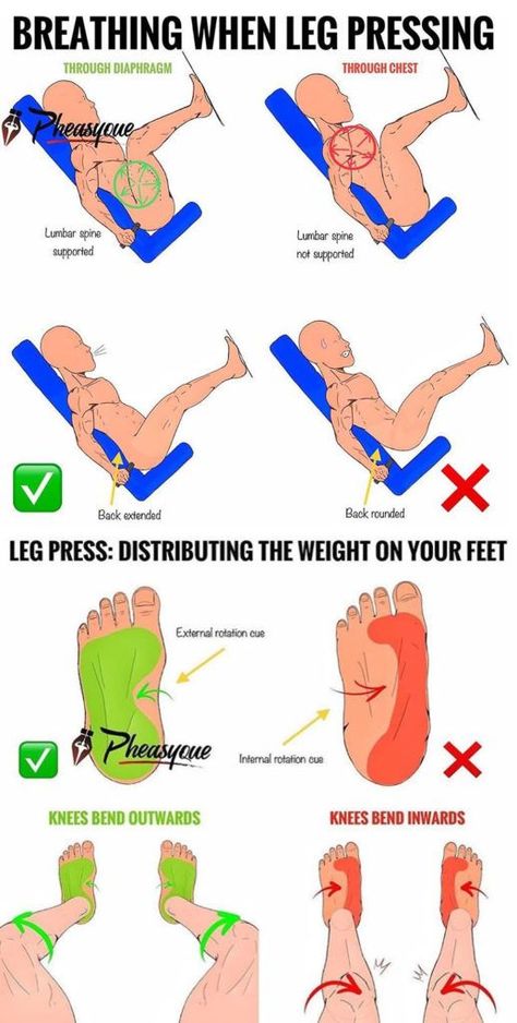 Leg Press Workout, Gym Workout Chart, Gym Tips, Weight Training Workouts, Workout Chart, Workout Plan Gym, Leg Press, Gym Workout Tips, Bodybuilding Workouts