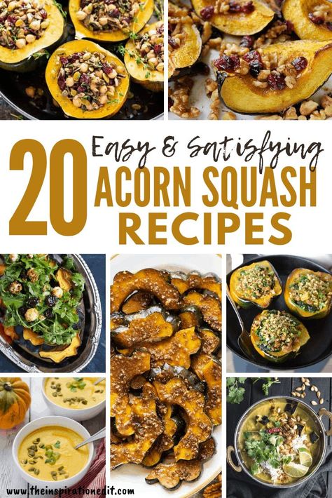 Cook Acorn Squash, Stuffed Acorn Squash Vegetarian, Acorn Squash Recipes, Squash Pasta, Walnut Recipes, Squash Salad, Family Lunch, Herb Roasted Chicken, Butternut Squash Recipes