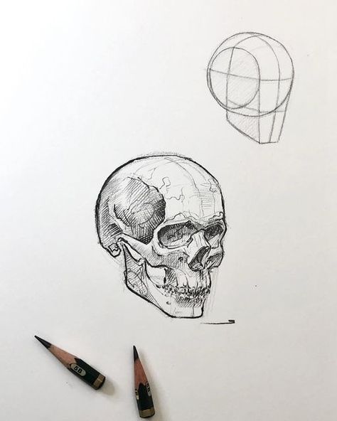 SinArty on Instagram: "Here’s a quick pencil skull study using Loomis method for today! Swipe ⬅️ for process… . . . . #skull #skullart #drawing #anatomy #academicart #academicdrawing #drawinganatomyandart #humananatomy #practicedrawing #sketch #sketchbook #sketchbookdrawing #sketches #pencil #pencilsketch #pencilsketches #artoninstagram #artistsoninstagram #artoftheday #drawingoftheday #sinarty #drawingsketch #drawings #artist #artstation #artsharing #illustration #fabercastell #strathmore" Skull Anatomy Drawing Study, Skull Study, Loomis Method, Skull Anatomy, Black Ink Art, Drawing Anatomy, Taking Risks, Sketches Pencil, Human Anatomy Drawing