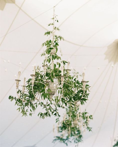 Chandelier Greenery, Kiawah Island Wedding, Floral Chandelier Wedding, Sunflower Centerpieces, Wedding Chandelier, Light Blue Wedding, Cape Cod Wedding, Blue Themed Wedding, Kiawah Island