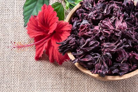 Premium Photo | Hibiscus (roselle, karkade) dry flowers in wooden bowles on burlap and green natural background with copyspace. Hibiscus Roselle, Dried Hibiscus Flowers, Burlap Background, Easy Healthy Smoothies, Natural Background, Dry Flowers, Wooden Bowl, Shampoo Bar, Hibiscus Flowers