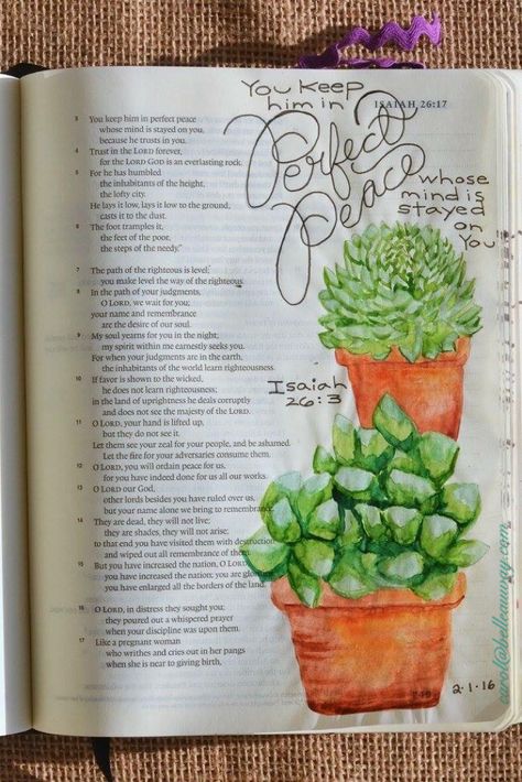 Isaiah 26:3, February 1, 2016,  carol@belleauway.com, hand lettering, watercolor, inspired by hero arts succulent stamps, bible art journaling, bible journaling, illustrated faith Isaiah Bible, Faith Art Journaling, Bible Drawing, Isaiah 26, Bible Illustrations, Bible Study Journal, Illustrated Faith, Faith Bible, Bible Art Journaling