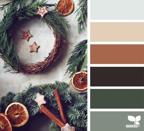 Boho Christmas Color Palette, Winter Color Schemes, Men Branding, Autumn Color Scheme, Holiday Color Palette, Design Seed, Sustainable Holiday, Christmas Palette, Soap Inspiration