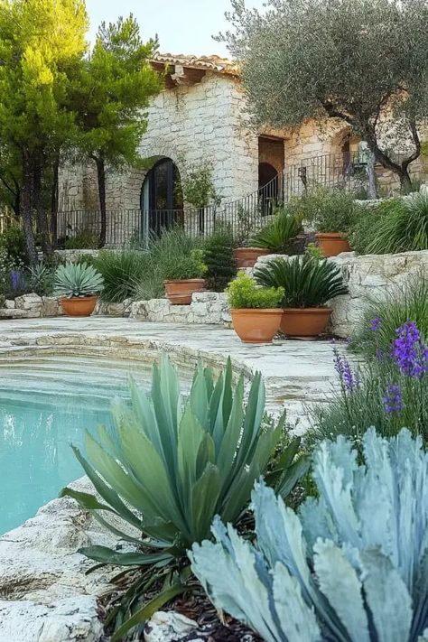 Mediterranean garden with pool and lush landscaping. Mediterranean Garden Ideas Landscaping, Small Mediterranean Garden, Garden Ideas Mediterranean, Mediterranean Backyard Ideas, Poolside Landscaping, Mediterranean Garden Ideas, Courtyard Garden Ideas, Garden Border Ideas, Mediterranean Backyard