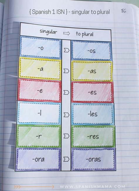 Section 3: Grammar and Structures Spanish 1 Activities, Spanish Interactive Notebook, Singular Plural, Spanish Projects, Spanish Classroom Activities, Middle School Spanish, Dual Language Classroom, Spanish Immersion, Spanish Lesson Plans