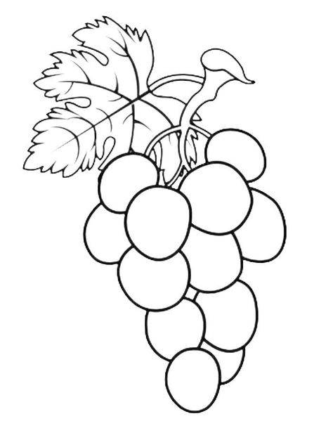 Black grapes Black Grapes, Coloring Pictures, Coloring Page, Grapes, Coloring Pages, Color, Black, Colouring Pages