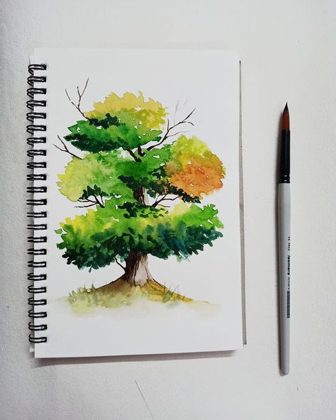 Realistic watercolor tree painting Nature Study Paintings, Realistic Tree Drawing, Tree Drawing Watercolor, Cartoon Art Drawing, Paintings Nature, Watercolor Paintings Nature, Tree Study, Realistic Watercolor, Painting Trees