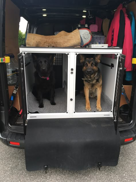 TransK9 Dog Box VB2 German Shepherds in a Ford Transit Custom van Camper Van Dog Kennel, Dog Van Conversion, Dog Van Ideas, Rv Dog Kennel, Van Conversion Dog, Dog Camper, Veterinary Equipment, Dog Daycare Business, Rv Dog