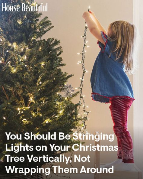 Cheap Christmas Trees, Christmas Tree Light Up, Xmas Tree Lights, Water Timer, Christmas Tree Pictures, Hanging Christmas Lights, Wrapped Lights, Prelit Tree, Decoration Lights