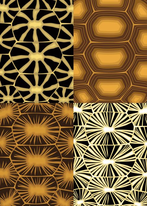 Download the Vector illustration set of four different seamless tortoise shell patterns. sucata tortoise shell, indian star tortise shell seamless patterns in flat style for your design. 7168207 royalty-free Vector from Vecteezy for your project and explore over a million other vectors, icons and clipart graphics! Indian Star, Drawing Cartoon Characters, Shell Pattern, Cityscape Photos, Shell Art, Flat Style, Background Banner, Animal Pattern, Flower Frame