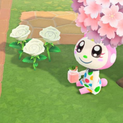 Flower Bun, Animal Crossing Characters, Animal Crossing Villagers, Big Flowers, Animal Crossing, Mario Characters, Cute Animals, Animals, Instagram