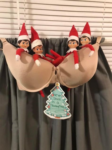 Elf Trap, Elf On The Shelf Ideas, Shelf Ideas, On The Shelf, Elf On The Shelf, Elf, Shelves, Holiday Decor