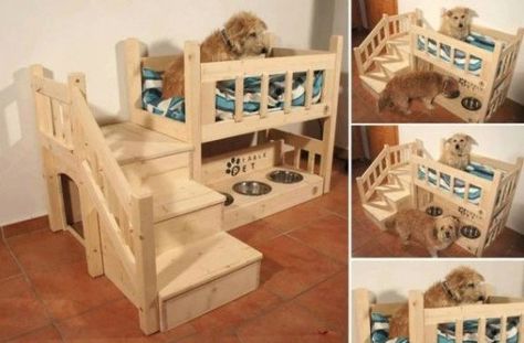 DIY Dog House Projects and Tutorials8 Creative Dog Bed, Dog Bunk Beds, Projects To Do At Home, Fun Art Projects, Pallet Dog Beds, Arts And Crafts Ideas, Diy Pet Bed, Old Headboard, Dog Diy