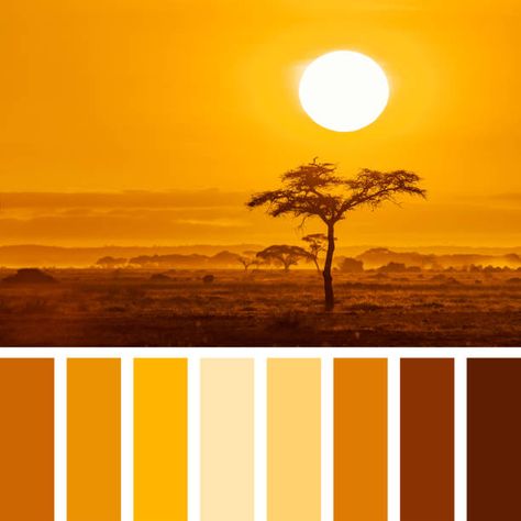 2,902 Warm Color Palette Stock Photos, Pictures & Royalty-Free Images - iStock African Sunset Colour Palette, Sunlight Color Palette, Warm Toned Color Palette, Warm Pallet Colors, Warm Tones Color Palette, Warm Tone Color Palette, Warm Tone Palette, Sun Color Palette, Wood Color Palette