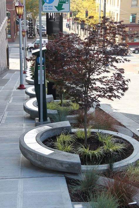 stormwater planters on Maynard green street, Seattle Streetscape Design, Landscape And Urbanism Architecture, Green Infrastructure, Side Walk, نباتات منزلية, Urban Landscape Design, Landscape And Urbanism, Green Street, Landscape Architecture Design