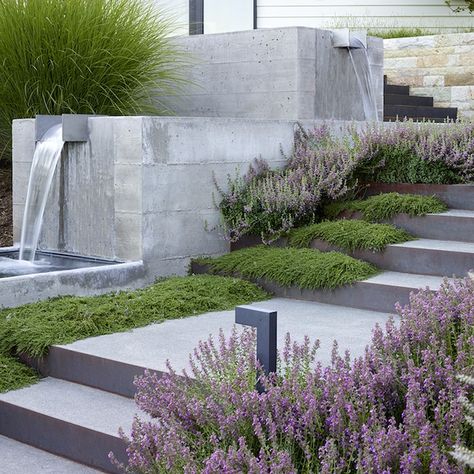 Landscape Stairs, Walkway Landscaping, Hillside Garden, California Wine Country, Front Garden Design, California Modern, Garden Steps, Side Garden, Modern Backyard