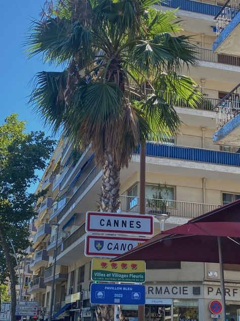 #cannes #travel #summer #cotedazur #france #southoffrance #aesthetic Cannes South Of France, Cannes Aesthetic Beach, Cannes France Aesthetic, Cannes Aesthetic, Cannes Summer, French Riviera Aesthetic, Yacht Aesthetic, Saint Jean Cap Ferrat, France Nice