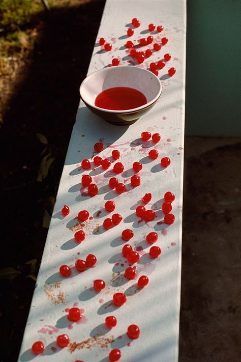 Cherries. Antigua, 1970. Mary Mccartney, Paul And Linda Mccartney, Sibling Poses, The White Album, Linda Mccartney, Mother Daughter Photography, Music Pics, Photography Exhibition, Performance Artist