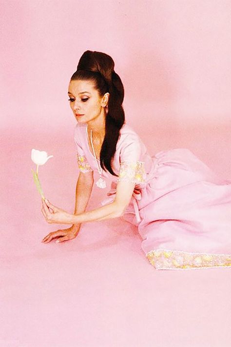 How Long It Took To Heal From Hashimoto’s + The Podcast That Saved My Life - Kelly Golightly Audrey Hepburn Images, Palm Beach Fashion, Audrey Hepburn Photos, Cecil Beaton, Hepburn Style, 1960s Fashion, Hollywood Stars, Audrey Hepburn, Girly Girl