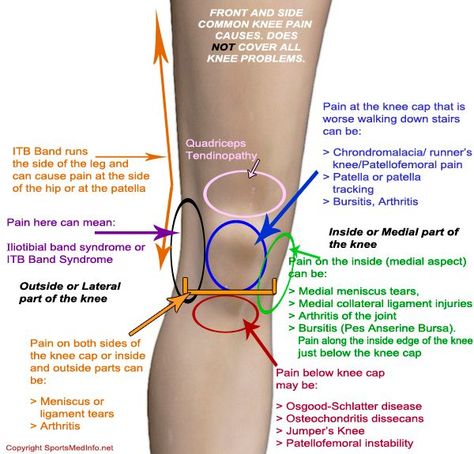 Punkty Spustowe, Knee Problem, Knee Exercises, James Patterson, Knee Pain, Acupressure, Health Info, Trx, Massage Therapy